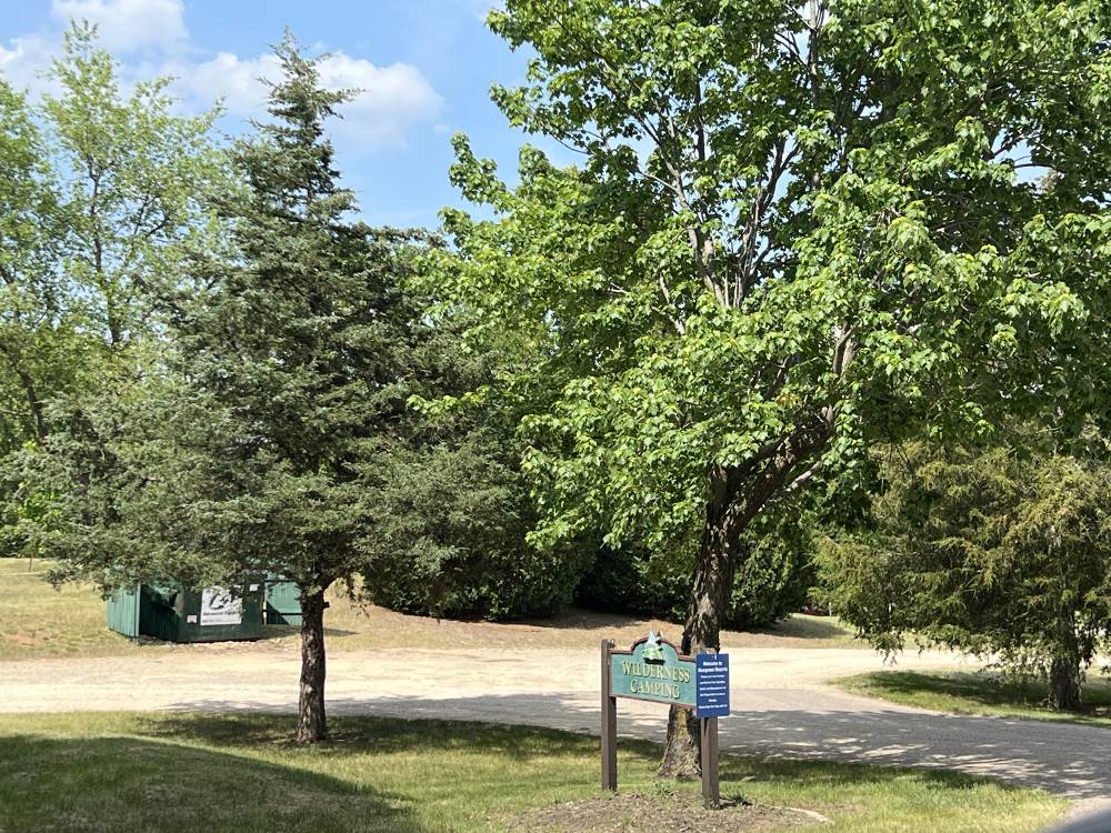 Trees all around the park