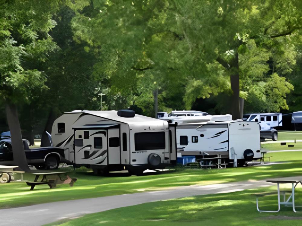 Trailers in grassy RV sites at Wally World Camping Resort