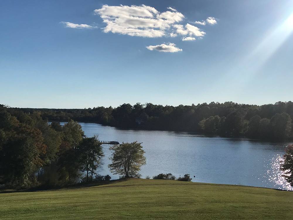 Sunny day by the water