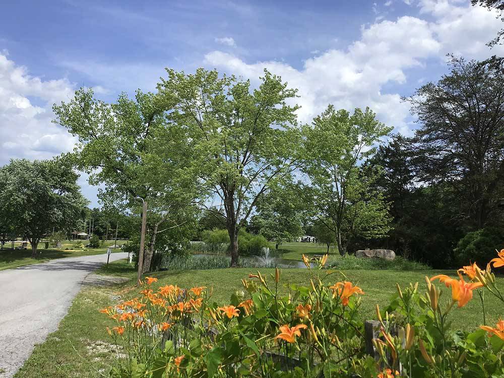 A grassy area in front of the pond at North Fork Resort