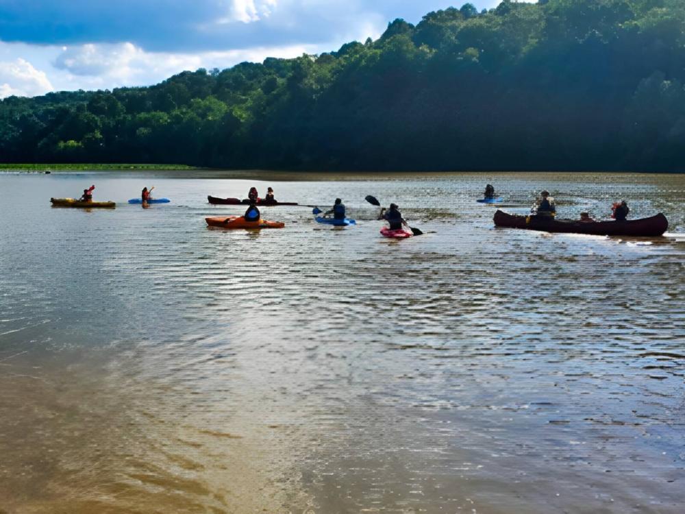 Kayaks and canoe in water
