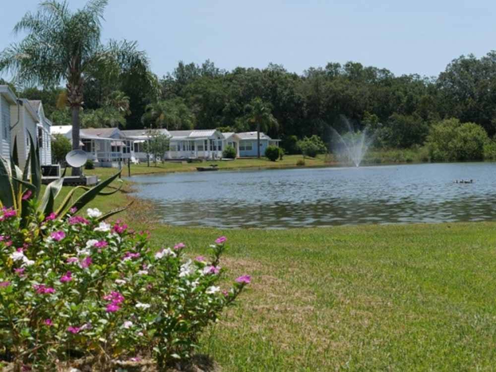 The lake with homes around it at FOREST LAKE ESTATES RV RESORT