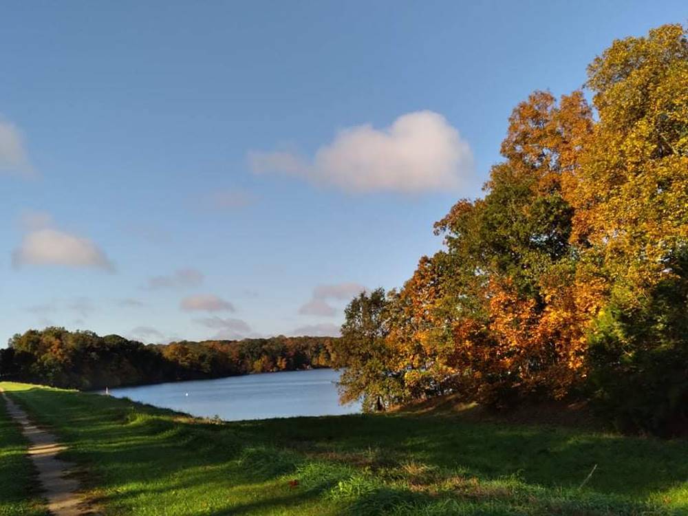 A trail near the lake