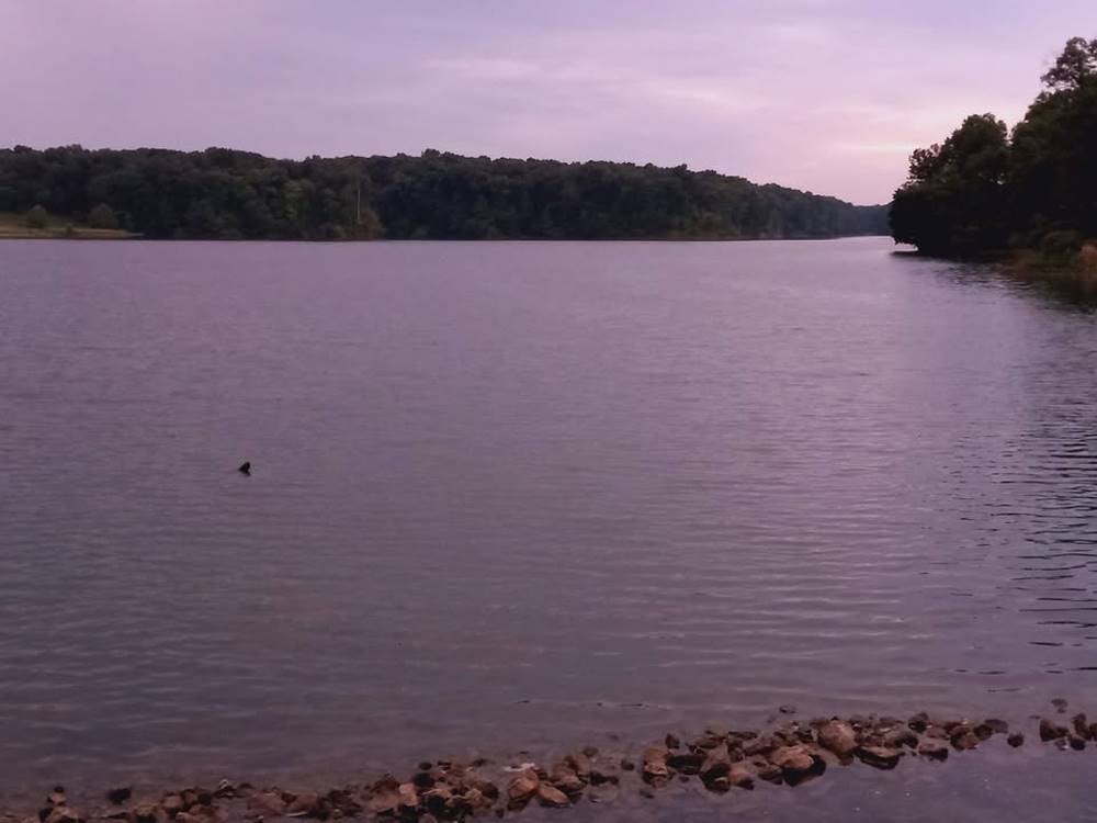 A view of the lake at dusk