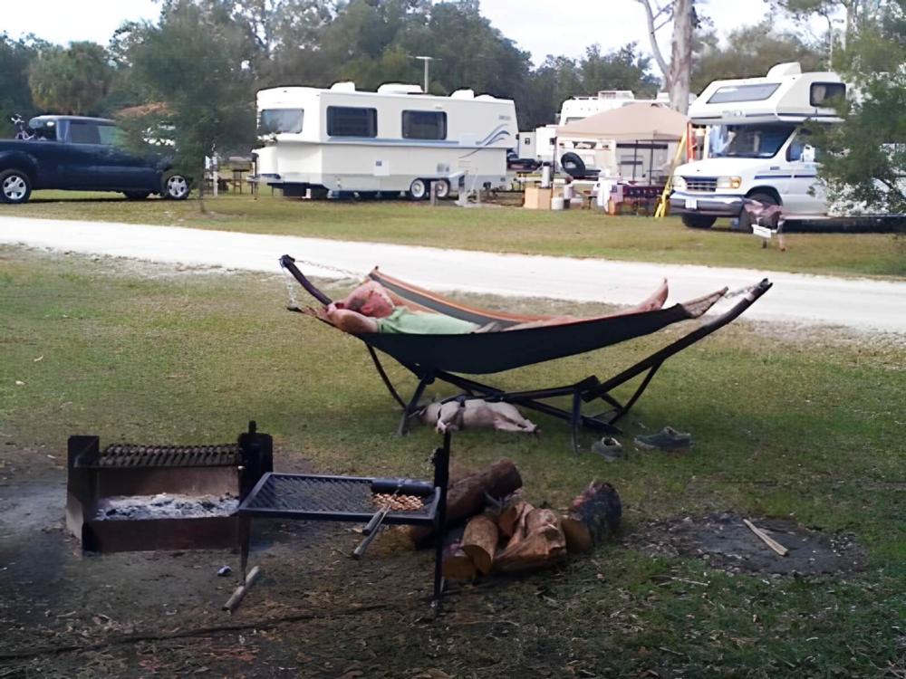A person relaxing in their hammock with their dog