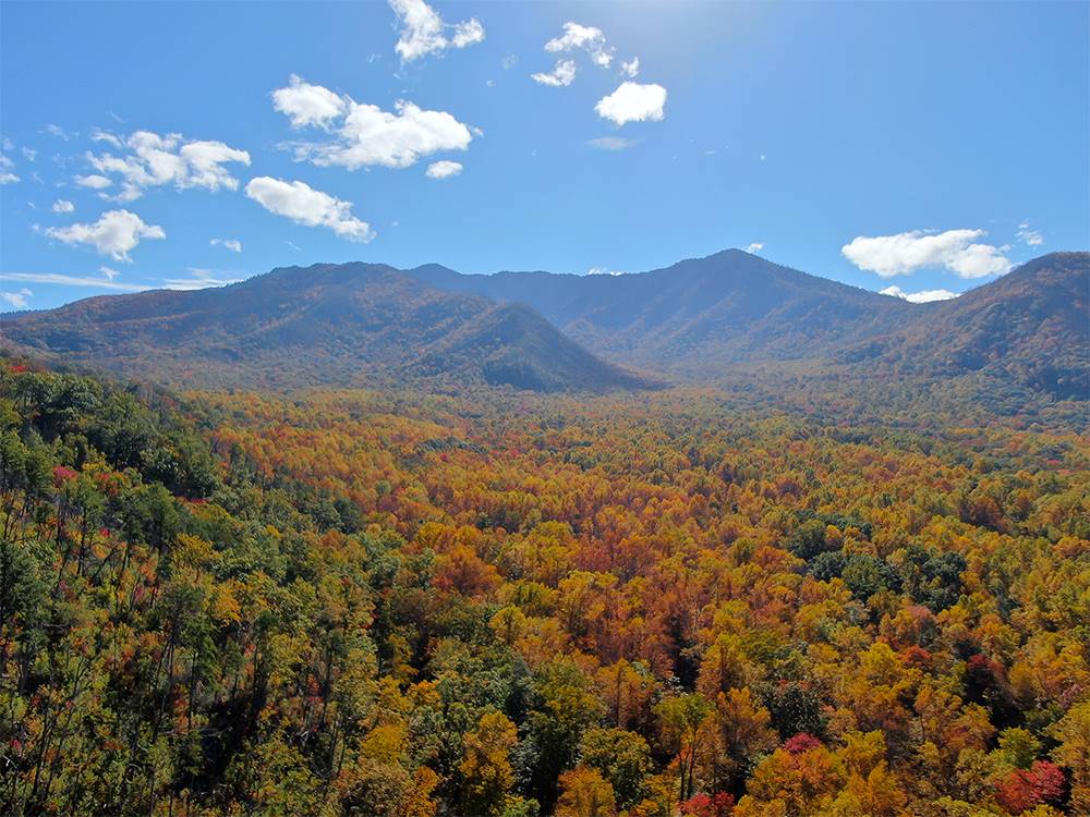 View of mountains and foliage at Pigeon Forge Department Of Tourism