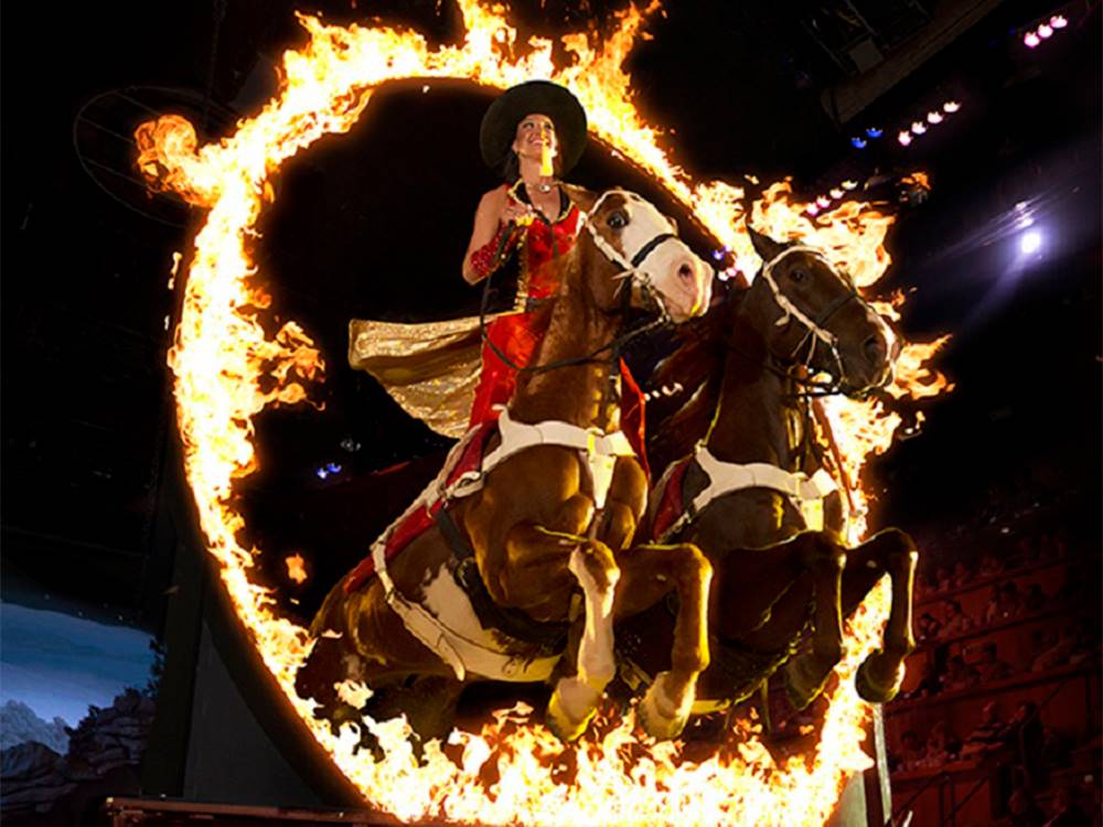 A horse and rider jump thru a ring of fire at Pigeon Forge Department Of Tourism