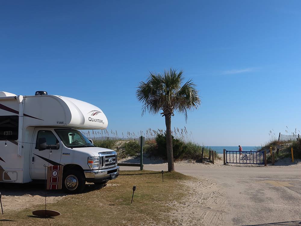 RV parked at a site with a palm tree at Myrtle Beach Campgrounds