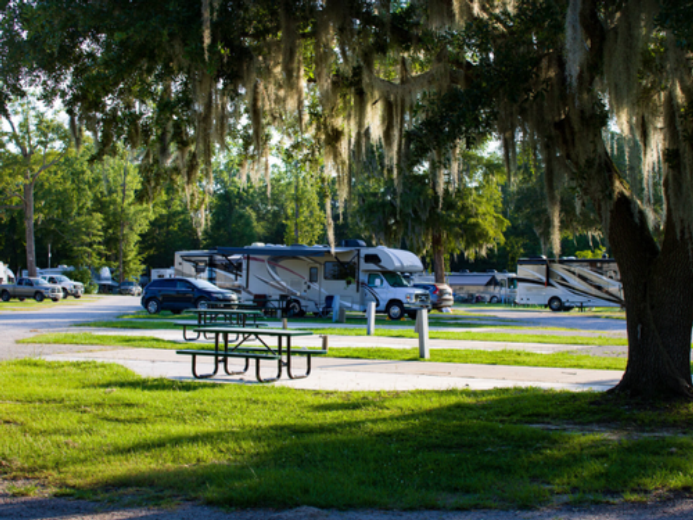 RV sites by trees at Hideaway RV Resort