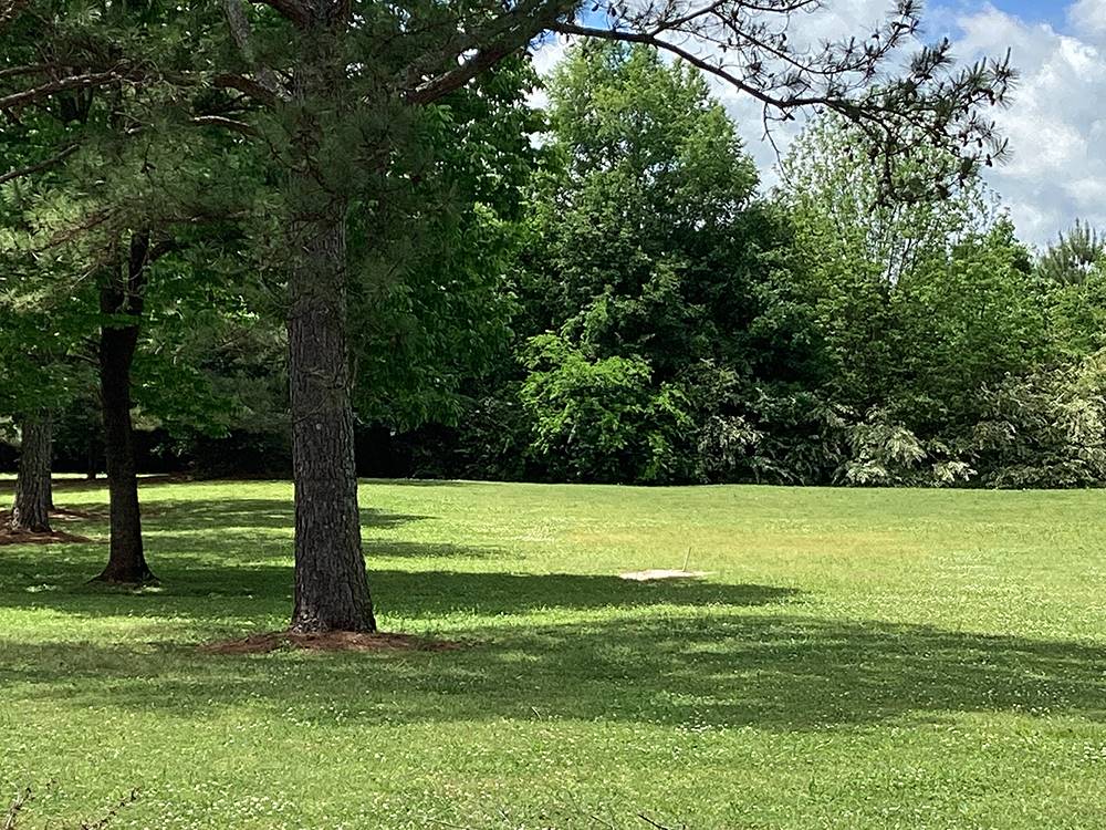 Grassy area shaded by trees at Camping World-Campground of Oxford