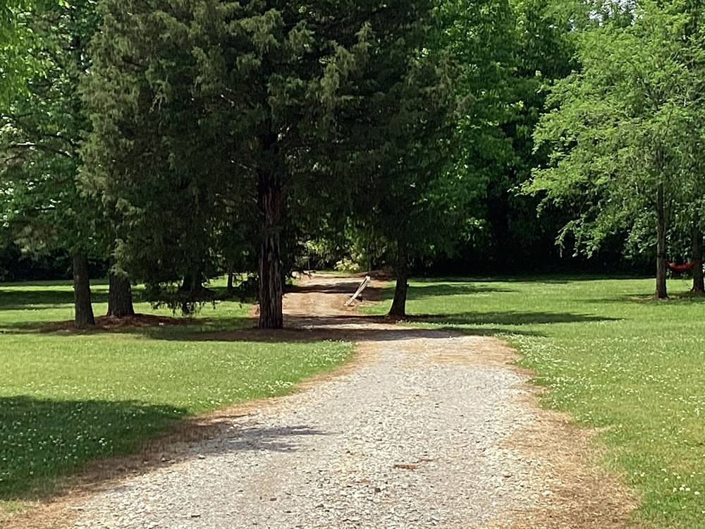 Gravel site with grass and trees at Camping World-Campground of Oxford