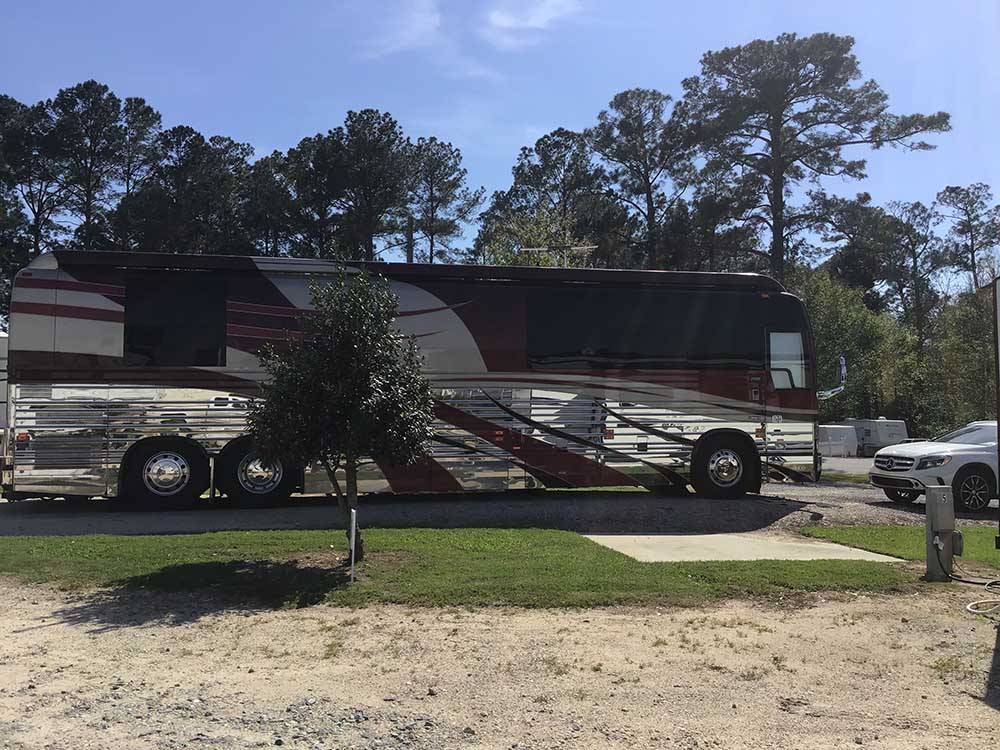 RVs parked in pull thru spaces at I75 RV PARK