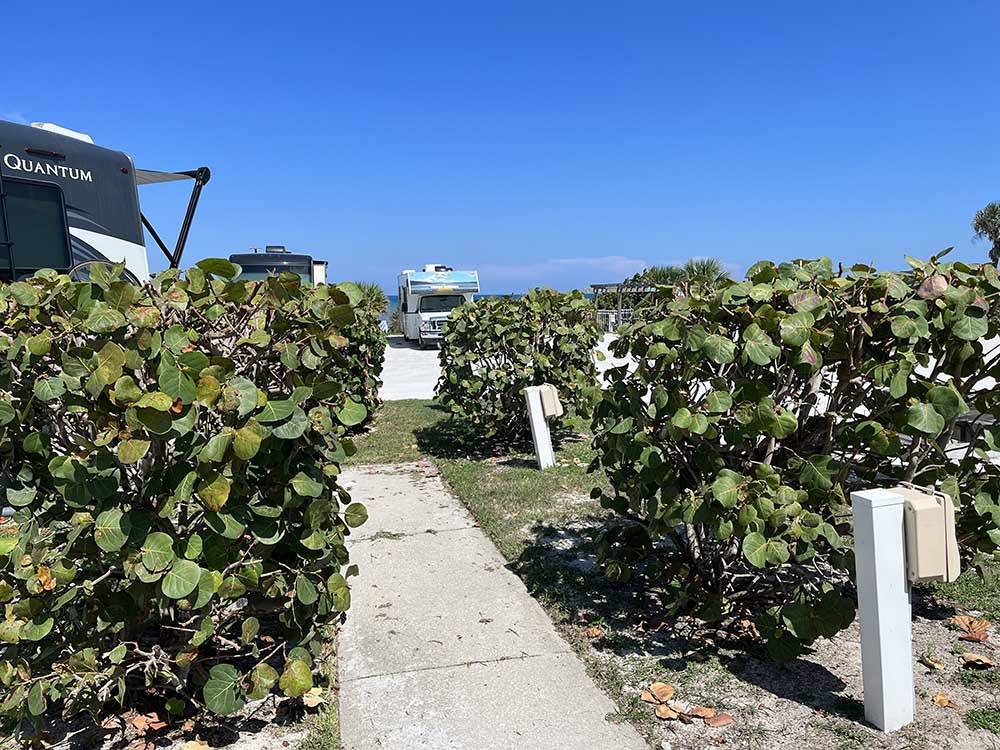 A sidewalk between RV sites at CORAL SANDS OCEANFRONT RV RESORT