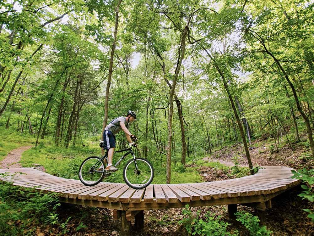 A man on a bike on a wooden bridge at BLOWING SPRINGS RV PARK