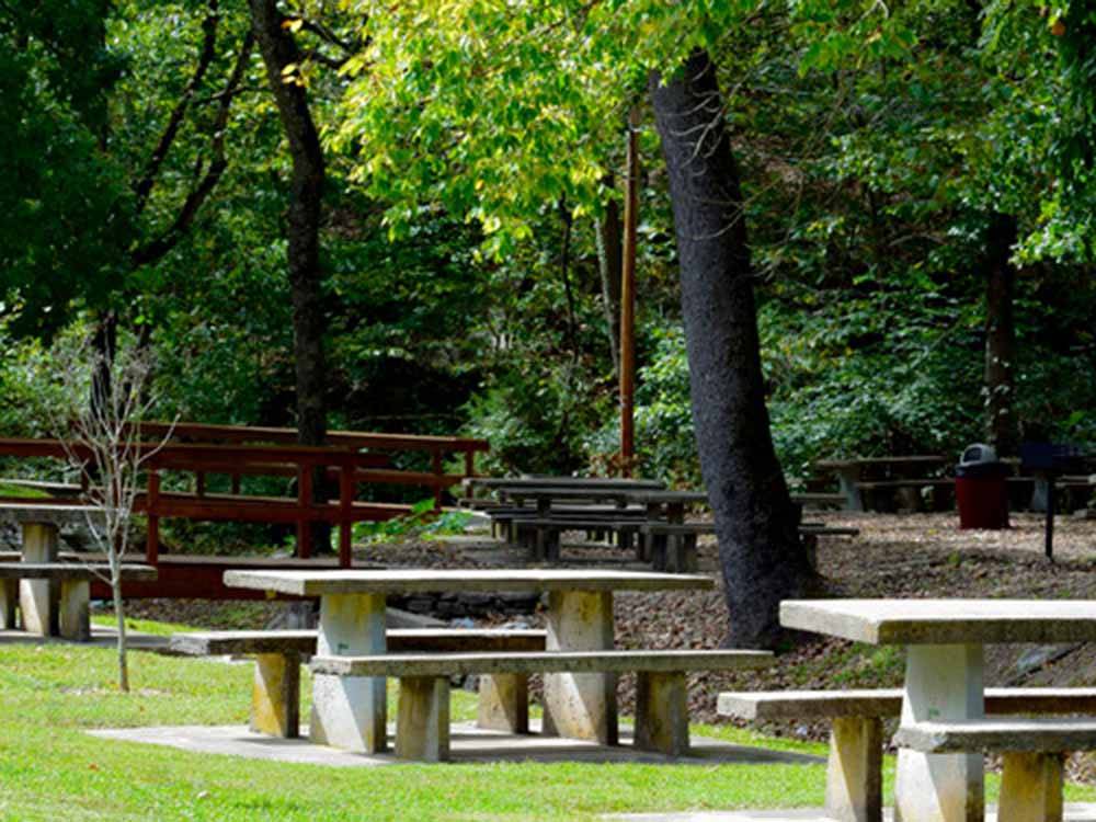 A row of benches under trees at BLOWING SPRINGS RV PARK