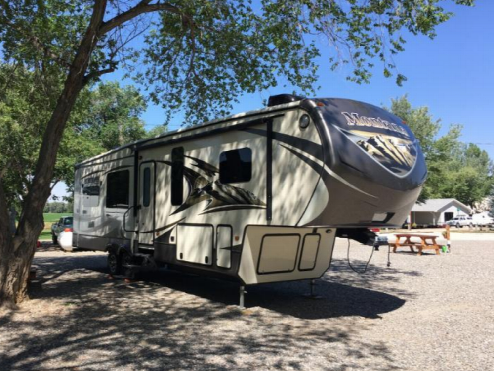 Trailer under a tree