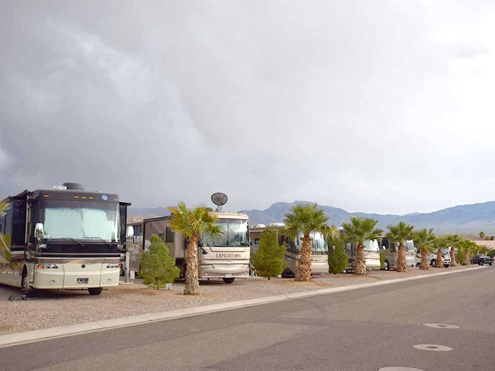 Motorhomes in back-in sites with palm trees at SUN RESORTS RV PARK
