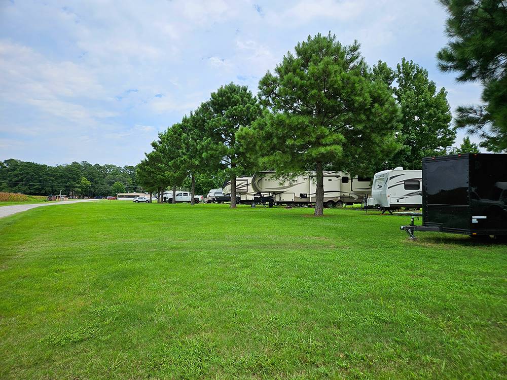 Large grassy area at Farm Country Campground