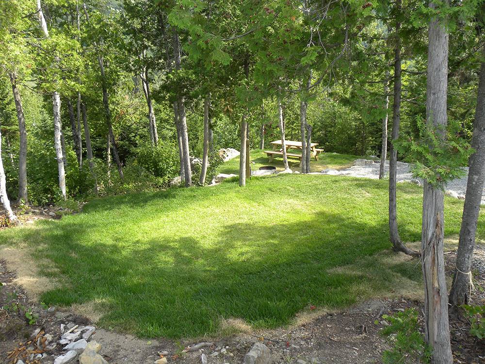 Green grass area at Bas-St-Laurent Campground