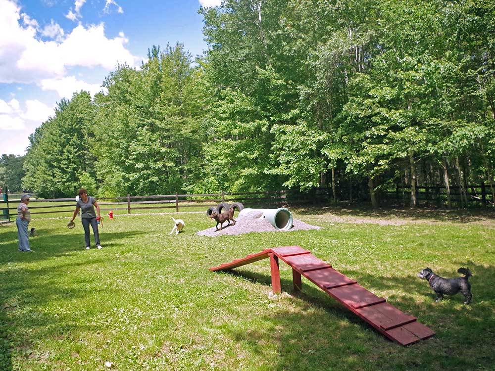 Fenced play area for dogs at OLD ORCHARD BEACH CAMPGROUND