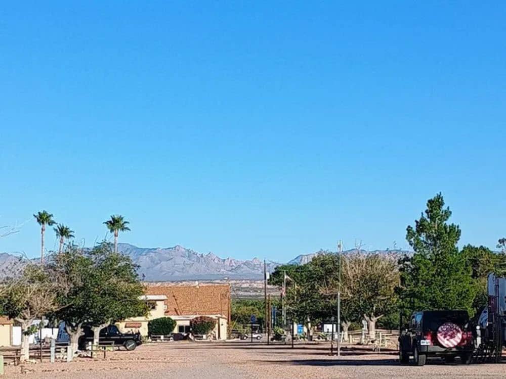 The road going thru the park