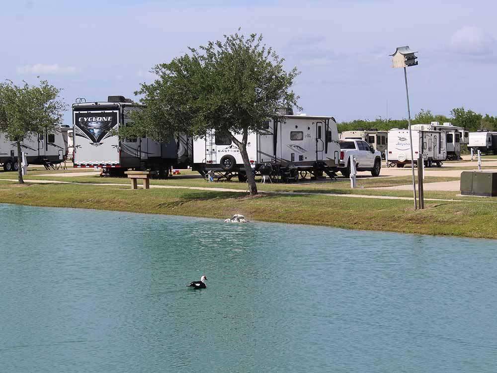 Travel trailers backed in at the lake at TEXAS LAKESIDE RV RESORT
