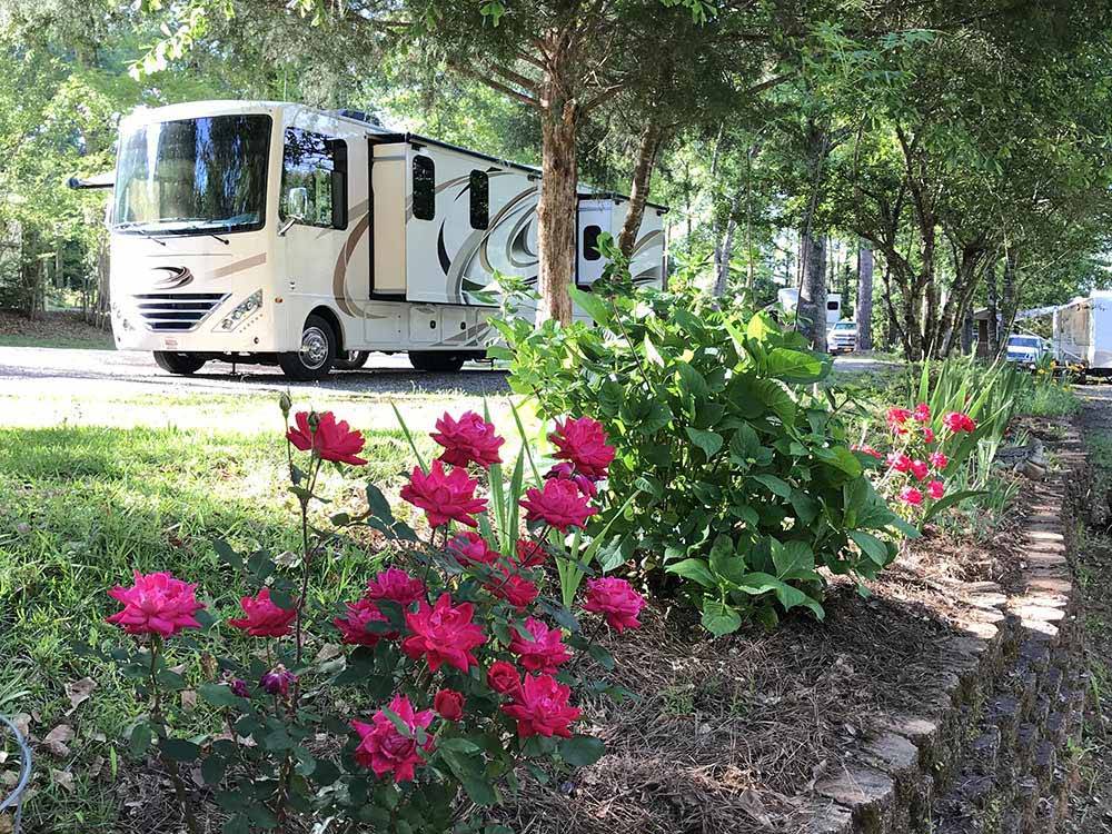 Flowers with large tan RV parked in background at KOUNTRY AIR RV PARK