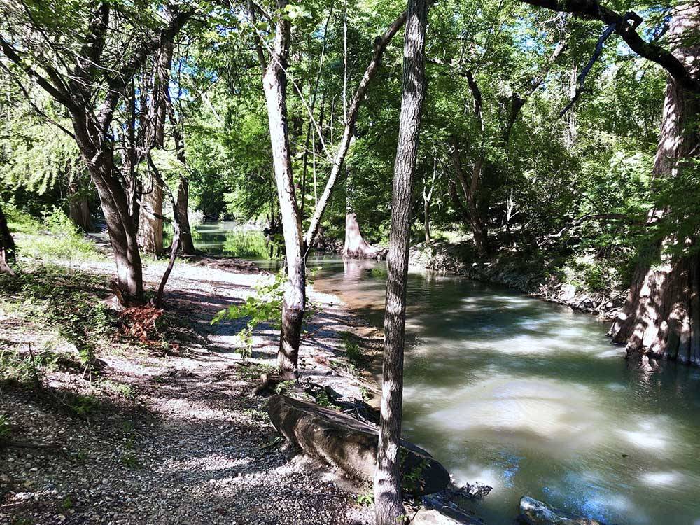 A pathway by the stream at ALAMO RIVER RANCH RV PARK