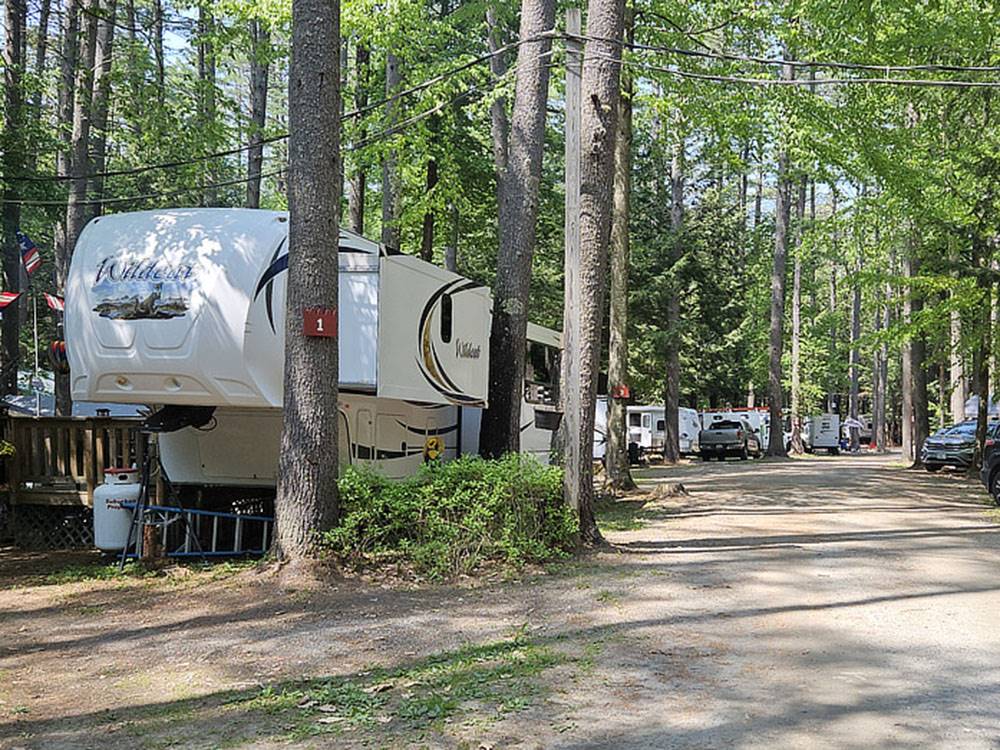 RVs under the trees