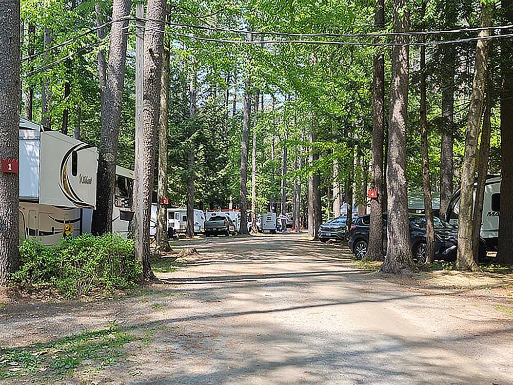 RVs parked along the road