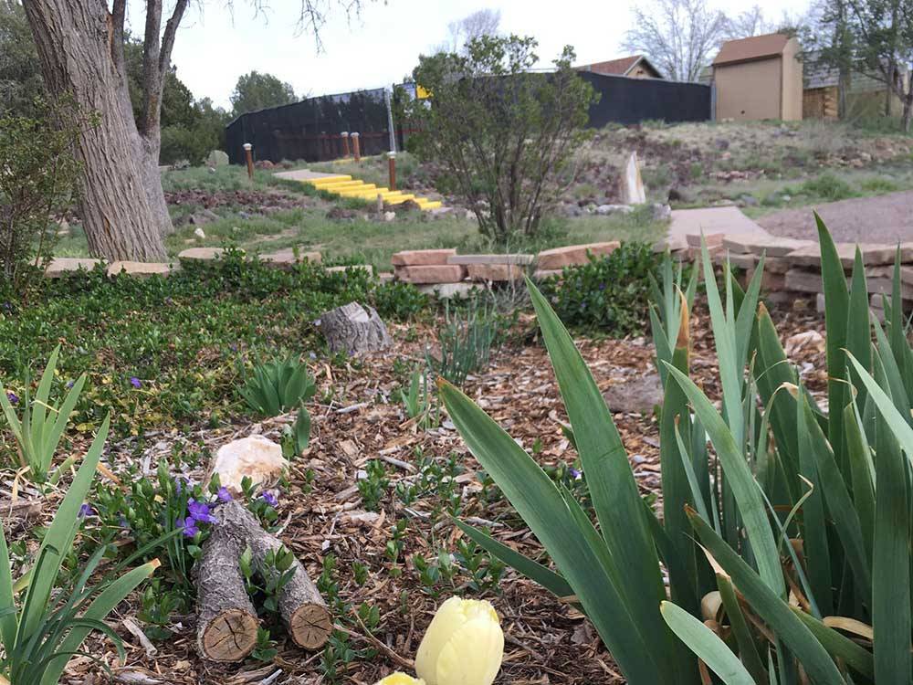 Succulents and colorful flowers grow together at GRAND CANYON VIEW RV