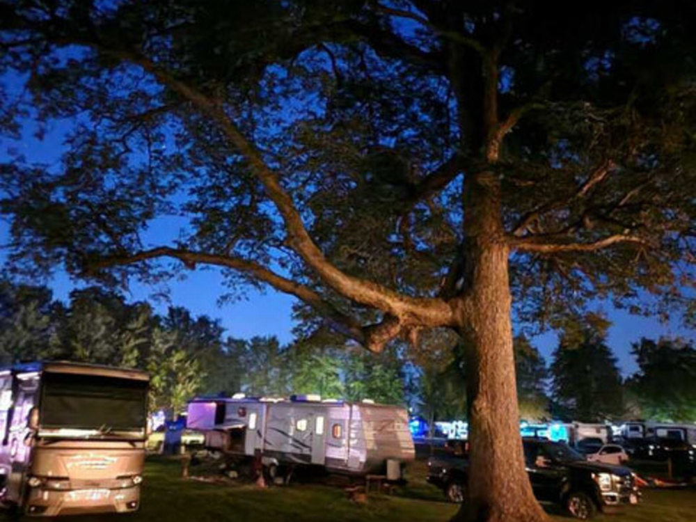 Shady sites at night Gotta Getaway RV Park