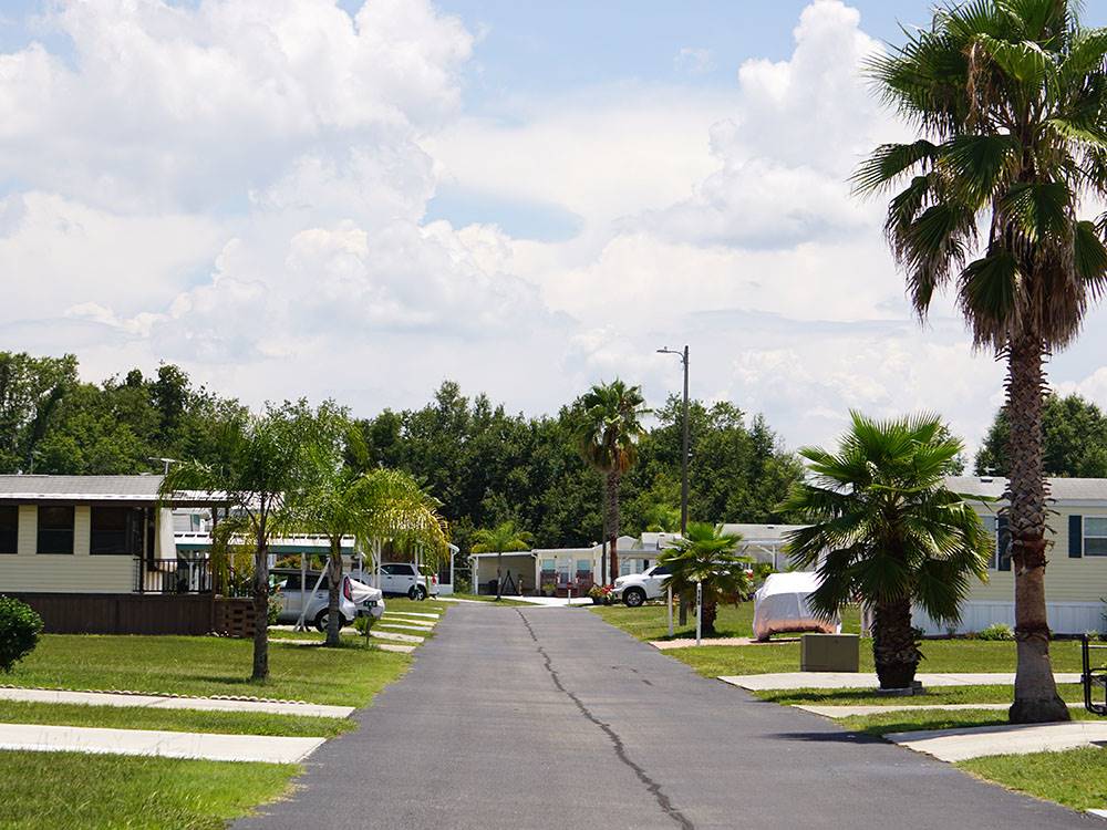 Palm tree lined sites at Morningside RV Estates