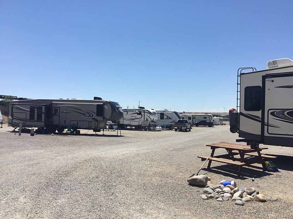 A row of travel trailers at HOMESTEAD RV PARK
