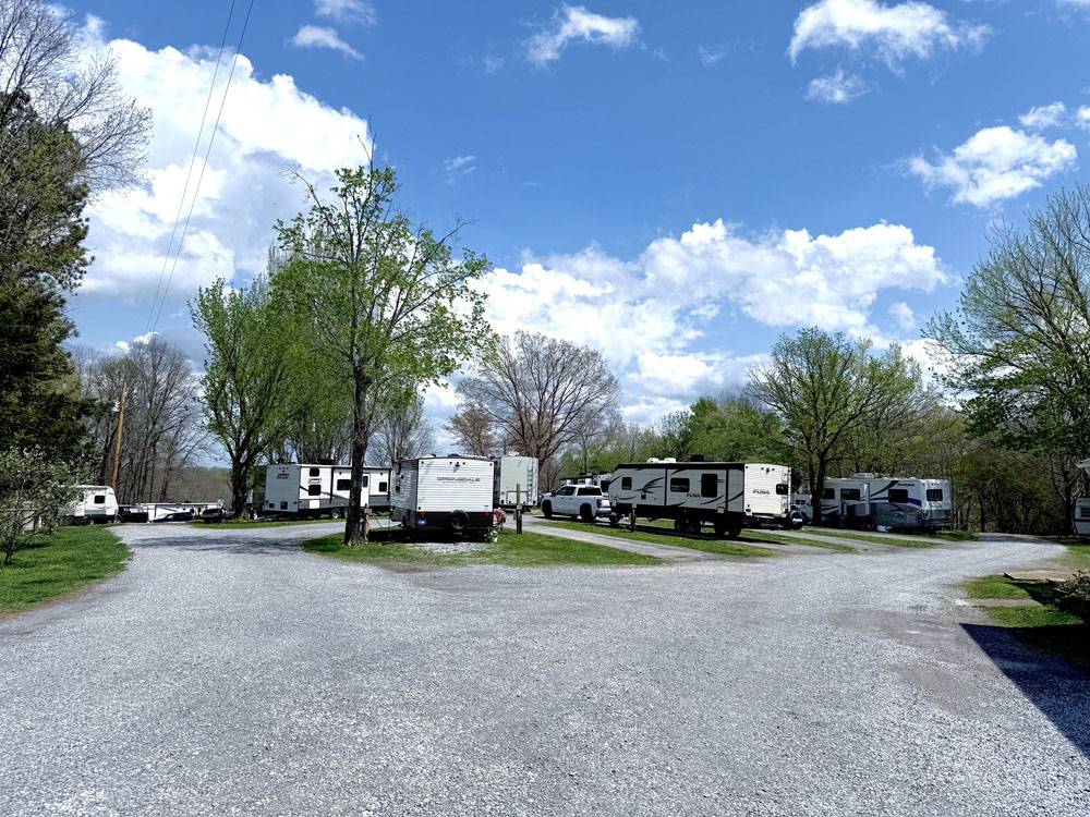 RVs parked in sites