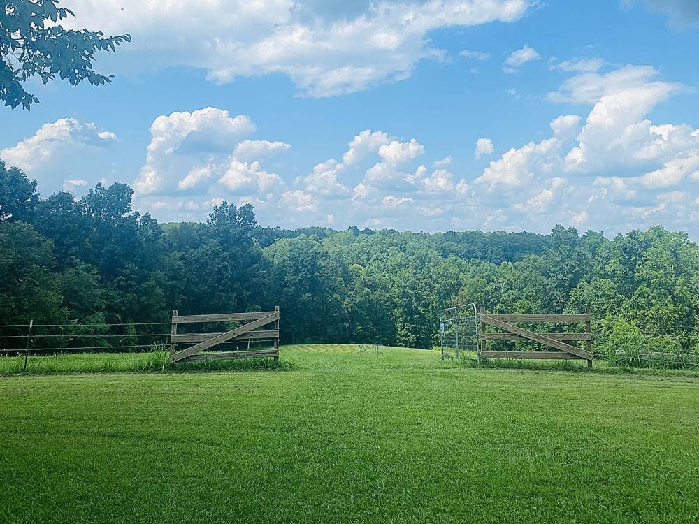 Blue sky and green pasture