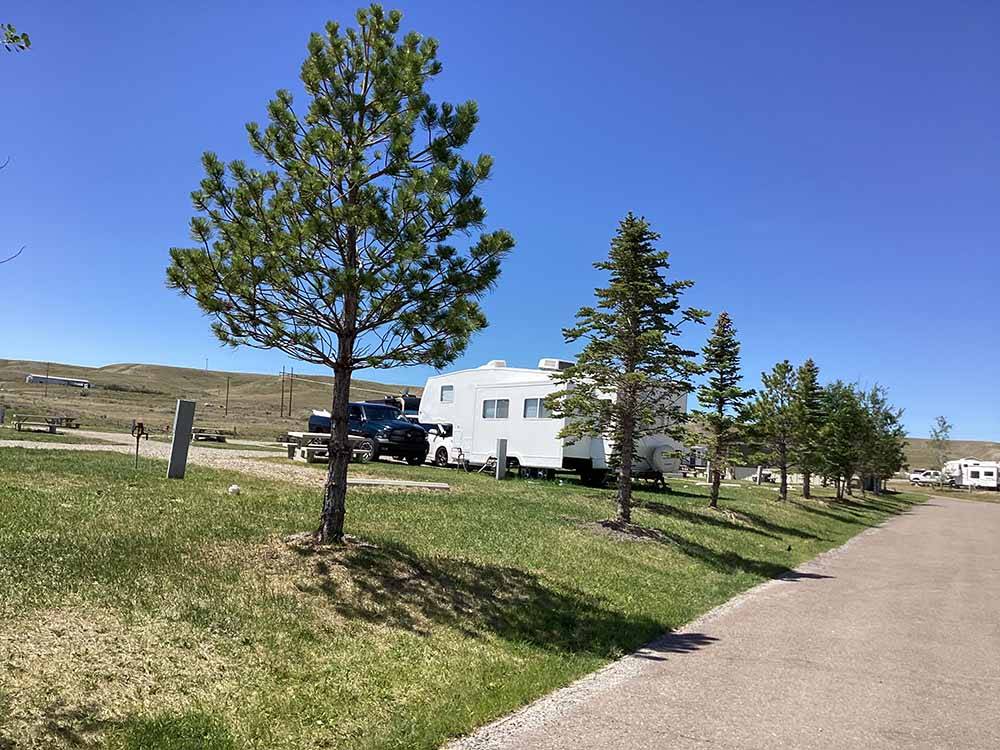 A long line of trees at TRAILS WEST RV PARK