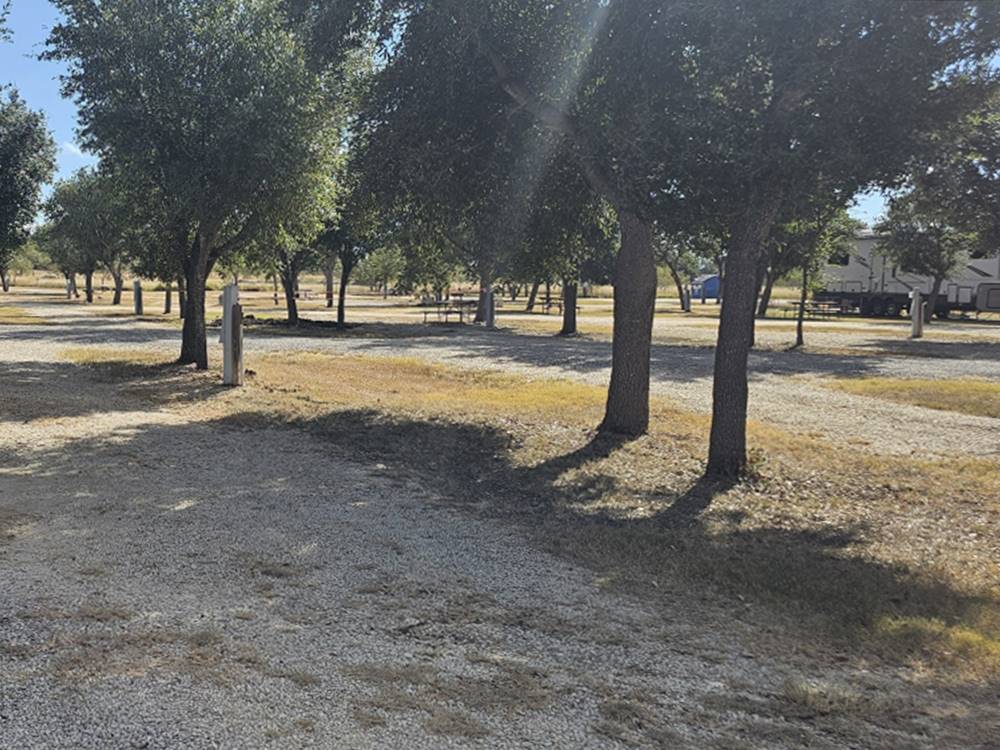 A shaded RV site