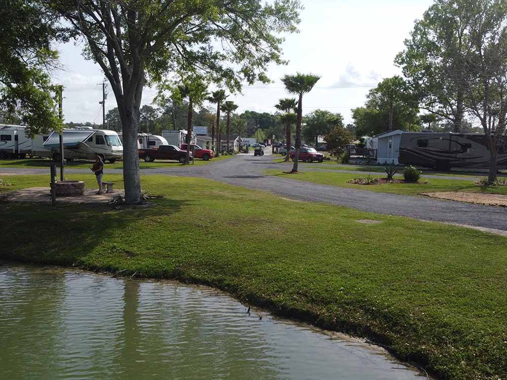 Bank of a pond with RVs in background at GAINESVILLE RV PARK
