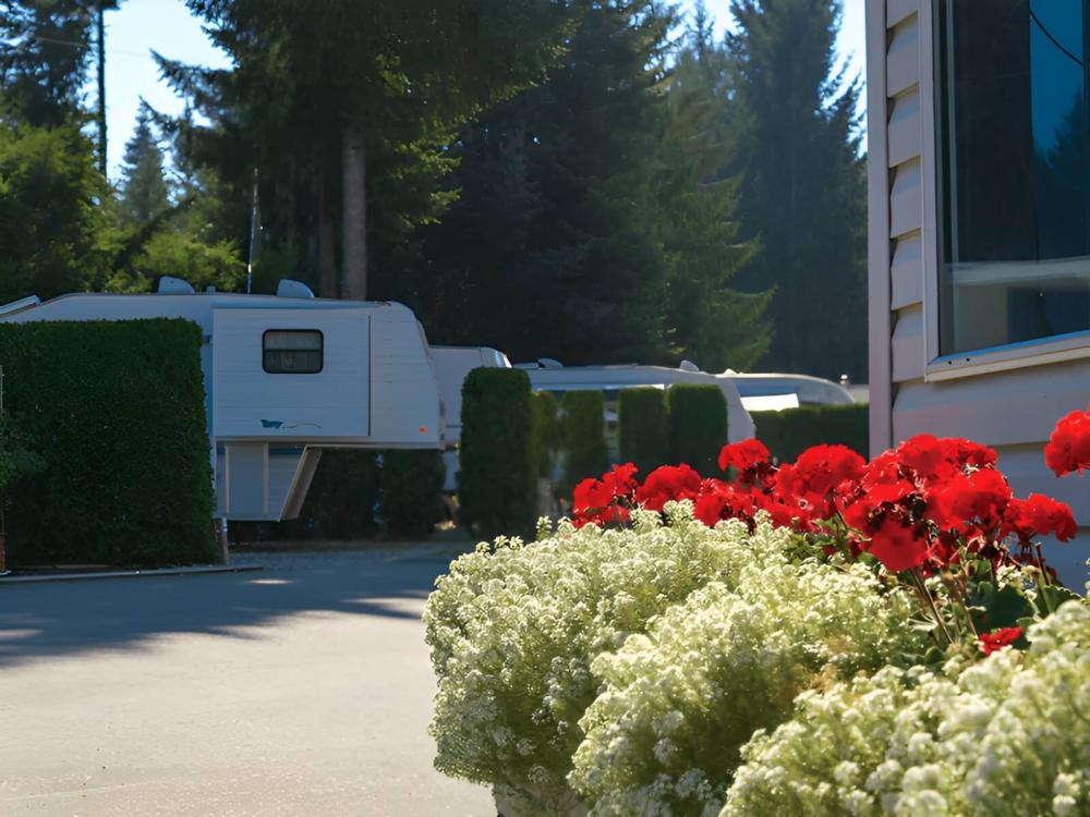 RVs in sites under trees