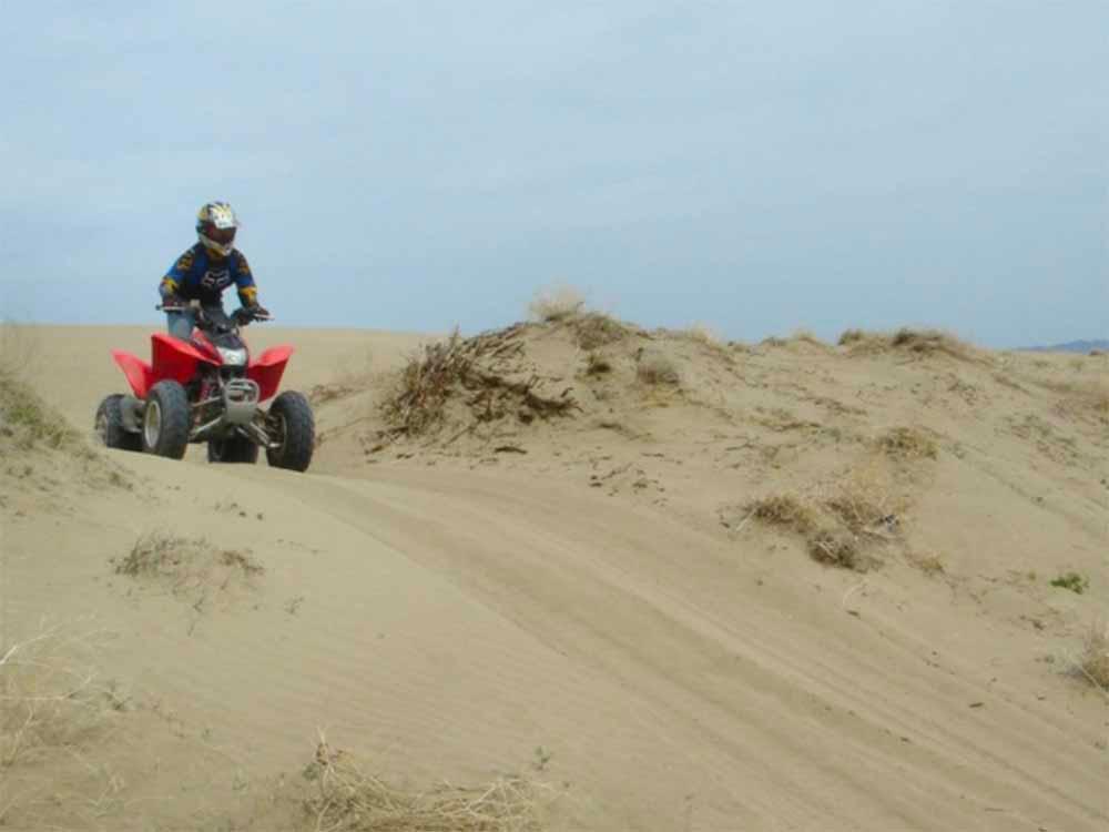 A person driving a ATV in the sand at NEW FRONTIER RV PARK