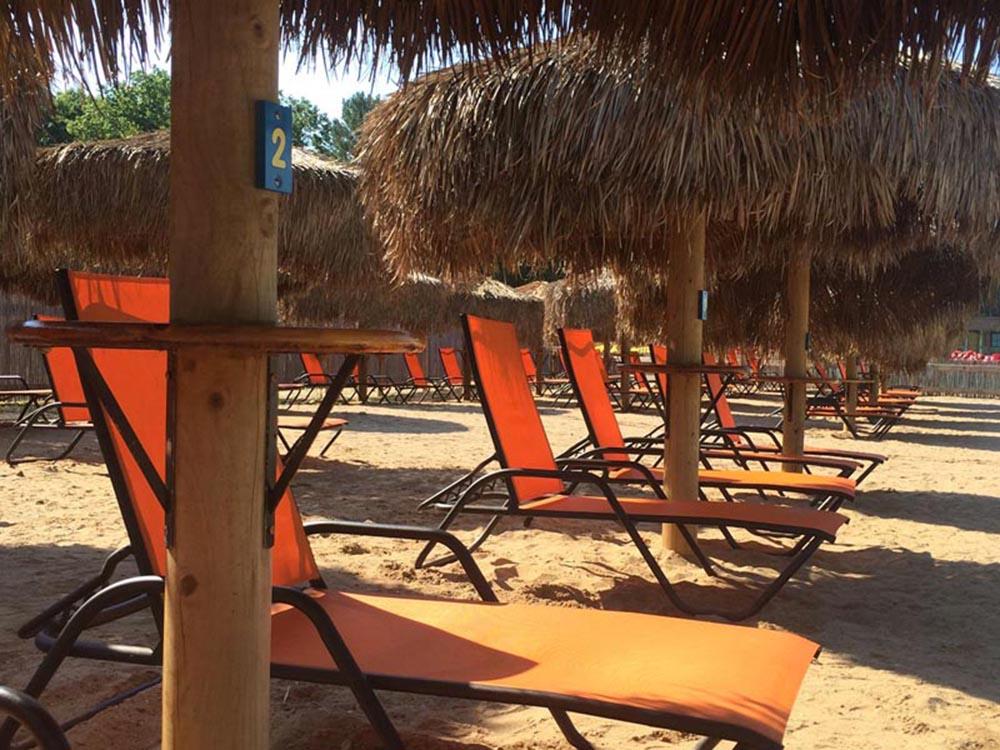 Chairs on sand with umbrellas at LAKE COMPOUNCE CAMPGROUND