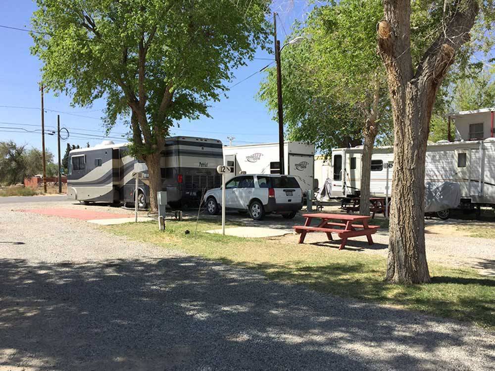 RVs and trailers at campground at ARABIAN RV OASIS
