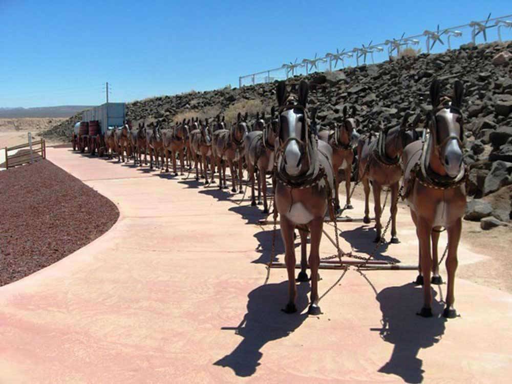 Horses pulling trailer at ARABIAN RV OASIS