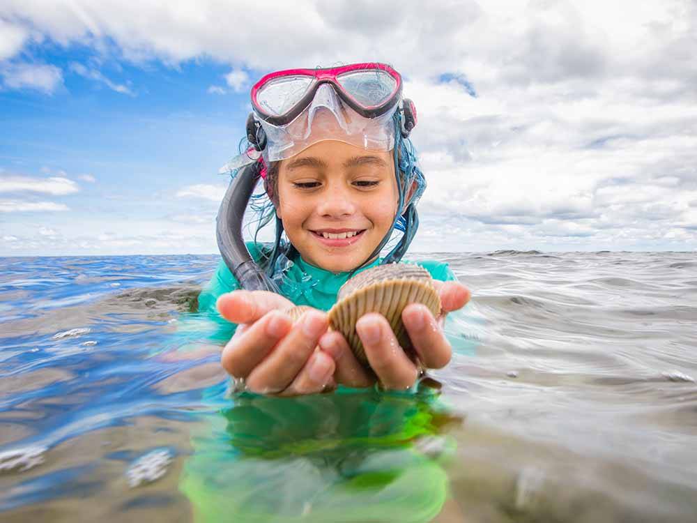 A kid snorkeling holding a seashell at DISCOVER CRYSTAL RIVER