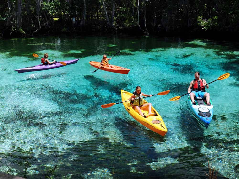 Four people kayaking at DISCOVER CRYSTAL RIVER