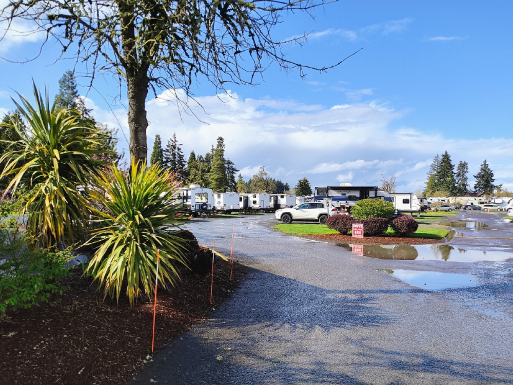 Road into park with RVs at Meadowlark RV Park