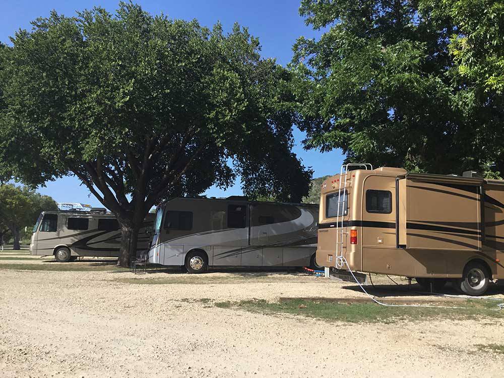 Class A motorhomes parked in gravel sites at TREE CABINS RV RESORT