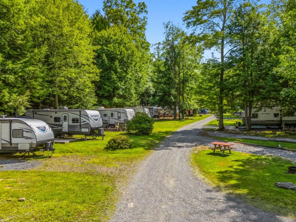 A gravel road along a row of RVs in sites