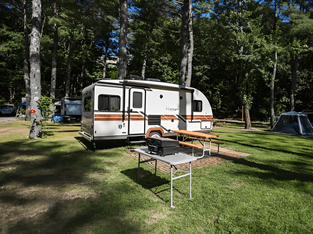 A vintage trailer in a grassy site